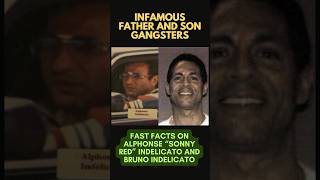 “SONNY RED” AND BRUNO INDELICATO  FATHER AND SON MOBSTERS bonannocrimefamily dominickcicale mob [upl. by Nnylrac113]