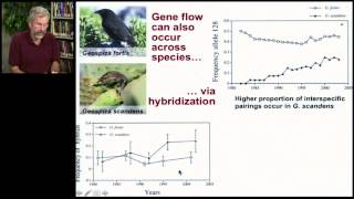 Biology 1001  Pop Genetics I 3 [upl. by Reinwald]