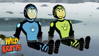 Stranded on the Moon  Tardigrades  Wild Kratts [upl. by Auqinu]