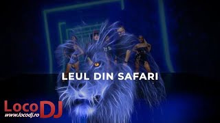 LocoDJ amp Deejay Killer feat Rodica Olariu  Leul din Safari official [upl. by Anigger]