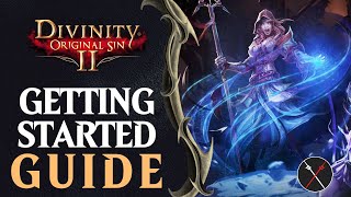 Divinity Original Sin 2  Character Creation and New Player Tips [upl. by Doowrehs]