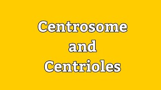 Centrosome and Centrioles  Cell Division  Spindle fibers  Cell Biology  HindiUrdu Lecture [upl. by Enivid]