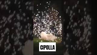 Cipolla  Italiaanse uitje feuerwerk pyroaddicts [upl. by Balling352]