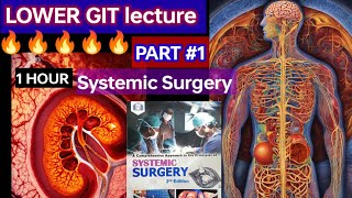 Systemic Surgery lecture 1 HOUR 🔥 💓 👍 LOWER GIT Ulcerative colitis corhon disease Cancer [upl. by Charo]