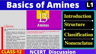 L1 Amines NCERT Class 12  Structure Classification amp Nomenclature of Amines 12th Organic Chemistry [upl. by Oderf]