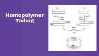 Homopolymer TailingSAM ONLINE CLASS [upl. by Anekahs]