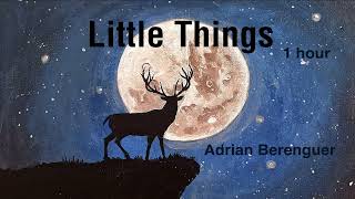 Little Things  Immaterial  Adrian Berenguer 1 hour [upl. by Ramal429]