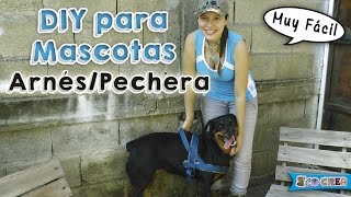 Cómo hacer un arnéspechera para tu perro │DIY [upl. by Kaleb669]