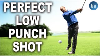 HOW TO HIT THE LOW STINGER SHOT  LONG IRON amp FAIRWAY WOOD [upl. by Notsae406]