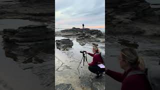 Capturing SUNSET at MOOLOOLABA BEACH Sunshine Coast AUSTRALIA 🤠 nature beach australia explore [upl. by Noval276]