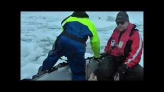 Odens Seal Team explains the work studying seal viruses in Antarctica [upl. by Asiruam266]