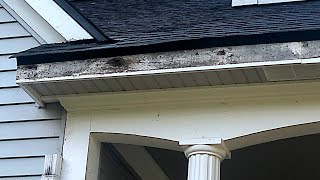 How to Remove and Replace Fascia Board [upl. by Ylimme]