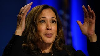 Kamala Harris roasted over word salad during latest MSNBC interview [upl. by Mikel]