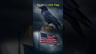 Ravens as a USA Flag Can you Imagine shorts hybrids [upl. by Harv732]