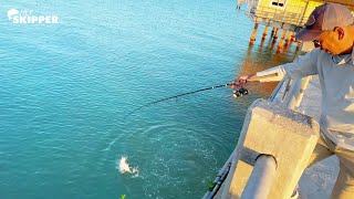 Catch the BIGGEST fish at the Pier 3 SIMPLE METHODS for Pier Fishing [upl. by Nilloc]