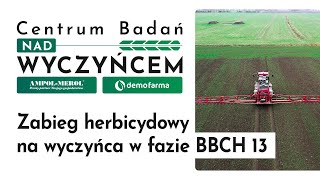 Zabieg herbicydowy na wyczyńca w fazie BBCH 13 [upl. by Annal]