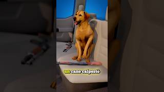 LUOMO CHE VENNE SPARATO DA UN CANE credits ​⁠zackdfilms [upl. by Sorenson]