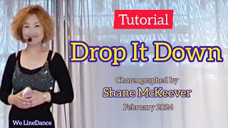 Tutorial  Drop It Down linedance [upl. by Isahella993]