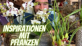 Schönes mi Pflanzen für das Wohnzimmer [upl. by Anelehs]