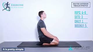 Seated Anterior Tibialis Stretch [upl. by Kotick162]