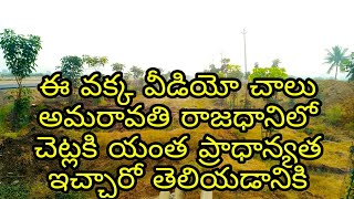 Tree Plantation Programme In Amaravatiసీడ్ Access రోడ్ కి ఆనుకొని నిర్మస్తున్న సైకిల్ampవాకింగ్TRACK [upl. by Nitsid410]