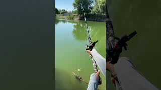 Best fishing rod viralvideo youtubeshorts shorts [upl. by Eduard874]