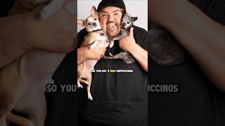 Gabriel Iglesias talks about PUPPUCCINO 😱🤣 shorts [upl. by Mae]