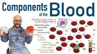 Components of Blood [upl. by Arimak]