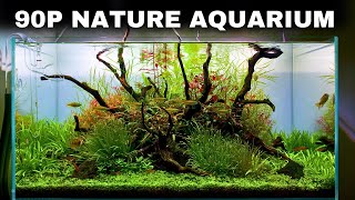 The ScaperLine 90 EPIC Step By Step 3ft Aquascape Tutorial [upl. by Pietro]