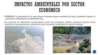 grado 5 El impacto de las actividades económicas en el medio ambiente [upl. by Nosahc]