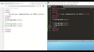 03  Les commentaires en HTML [upl. by Pierette632]