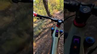 Curveo 🚴‍♂️⛰️ ebike mtb enduromtb [upl. by Nylirem]