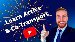 ACTIVE TRANSPORT AND COTRANSPORT AQA ALevel Biology [upl. by Fabiolas]