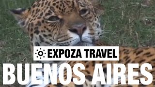 Buenos Aires Vacation Travel Video Guide [upl. by Avika]