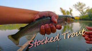 Stocked Trout Fishing Early Fall Nice Fish Caught [upl. by Sam]