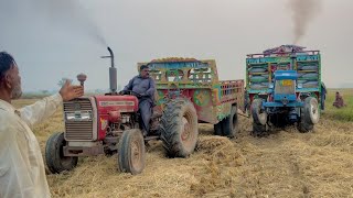 Munji ka load tralla phans gya 😳🌾🌾🚜🙆🏼‍♂️ [upl. by Congdon935]