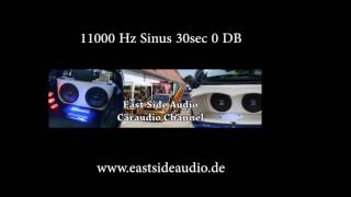 11000 Hz 11kHz Sinus Ton Wave 0DB für Hifi Audio Test Testton 30sec [upl. by Waterer114]