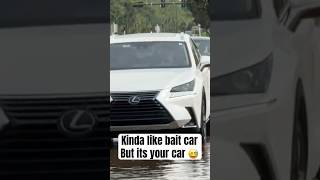 Bait Car Florida Version [upl. by Lucina]