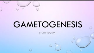 Gametogenesis gametogenesis sel biologi gamet materikelasxi [upl. by Delaine]