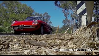 1971 Classic Alfa Romeo Spider Family Jewel As seen on Petrolicious [upl. by Enelahs]