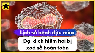 Lịch Sử Bệnh Đậu Mùa  Đại Dịch Hiếm Hoi Bị Xoá Sổ Hoàn Toàn [upl. by Telracs]