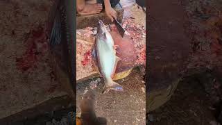 Fiss Kating Zabardast 🥰🥰🥰viralshortsviralvideobeutifull fishkating [upl. by Anrak717]