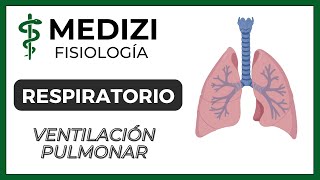 Clase 37 Fisiología Respiratoria  Ventilación Pulmonar IGdoctorpaiva [upl. by Novehc]