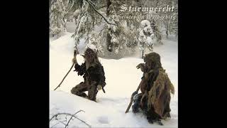 Sturmpercht  Geister im Waldgebirg Full Album [upl. by Einafets971]