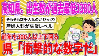 【2chまとめ】高知県、出生数が過去最低3380人、前年を300人以上下回る、県「衝撃的な数字だ」【ゆっくり】 [upl. by Ethelin]