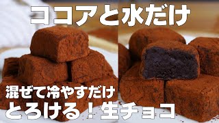 【材料3つ】ココアと水だけ！ココア生チョコ作り方！  【syun cooking】 [upl. by Mikeb920]