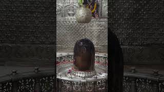 Har har Mahadev reel love mishaan shyam misha devotionalsong song harharmahadevsong mishaa [upl. by Afrikah518]