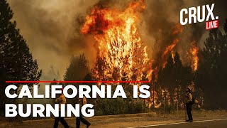 California Wildfires Live News  Aerial Footage Shows Scale Of Devastation In Ventura County [upl. by Yretsym]