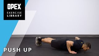 Push Up  OPEX Exercise Library [upl. by Nanete]