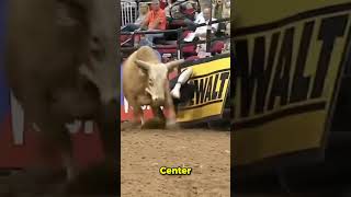 The BULLFIGHTERS World westernsports rodeowrecks rodeo pbr bullfighters bullriding [upl. by Repard]